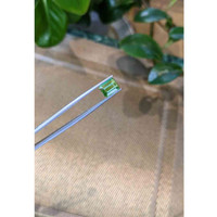 2.58 Ct. Tourmaline from Mozambique Life Style