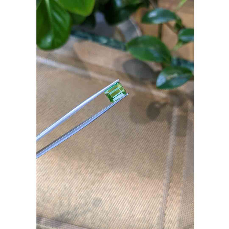 2.58 Ct. Tourmaline from Mozambique