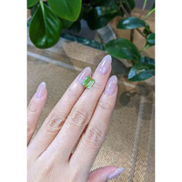 2.58 Ct. Tourmaline from Mozambique Life Style