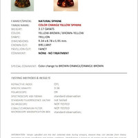 3.17 Ct. Yellowish Brown Sphene (Titanite) from Madagascar Scan Report