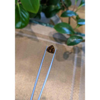 3.17 Ct. Sphene (Titanite) from Madagascar Life Style