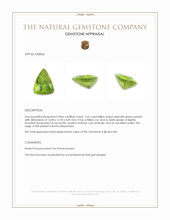 9.65 Ct. Peridot from Burma (Myanmar) Appraisal