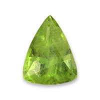 9.65 Ct. Peridot from Burma (Myanmar) Video