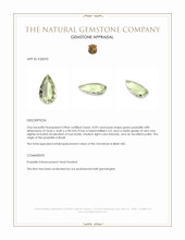 8.09 Ct. Green Prasiolite from Brazil Appraisal