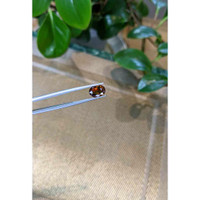 3.84 Ct. Zircon from Ceylon (Sri Lanka) Life Style