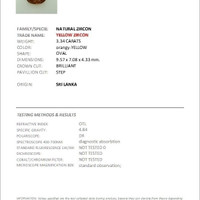 3.34 Ct. Orangish Brown Zircon from Ceylon (Sri Lanka) Scan Report