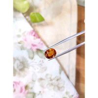 3.61 Ct. Hessonite Garnet from Madagascar Life Style