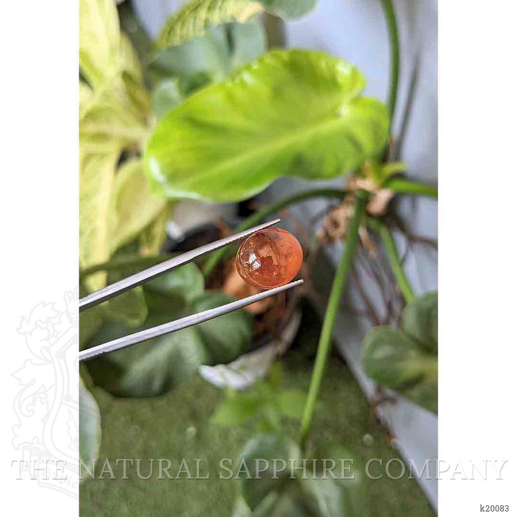 16.01 Ct. Cabochon Spessartite Garnet from Madagascar