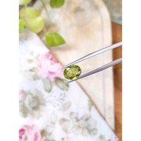 3.75 Ct. Peridot from Burma (Myanmar) Life Style