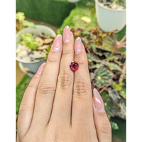 3.12 Ct. Garnet from Ceylon (Sri Lanka) Life Style