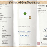 2.04 Ct. Tsavorite Garnet from Madagascar Scan Report