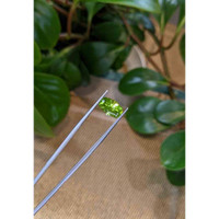 3.68 Ct. Peridot from Afghanistan Life Style