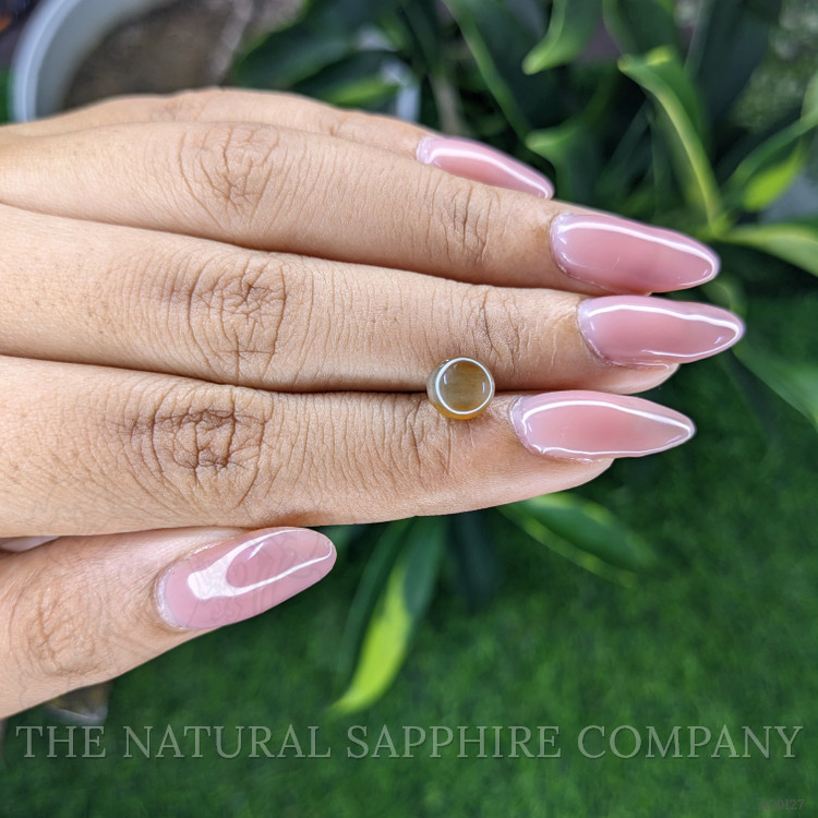 1.92 Ct. Cabochon Chrysoberyl from Ceylon (Sri Lanka)