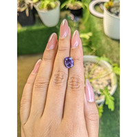 4.11 Ct. Spinel from Ceylon (Sri Lanka) Life Style