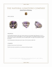 5.08 Ct. Ametrine from Ceylon (Sri Lanka) Appraisal