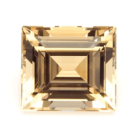 1.41 Ct. Tourmaline from Mozambique Video
