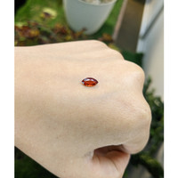0.84 Ct. Garnet from Ceylon (Sri Lanka) Life Style