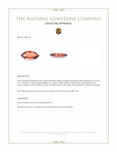 0.83 Ct. Garnet from Ceylon (Sri Lanka) Appraisal