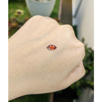 0.83 Ct. Garnet from Ceylon (Sri Lanka) Life Style