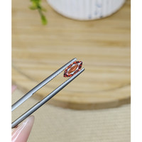 0.75 Ct. Garnet from Ceylon (Sri Lanka) Life Style