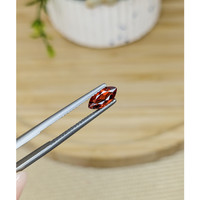 0.96 Ct. Garnet from Ceylon (Sri Lanka) Life Style