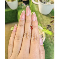 1.04 Ct. Garnet from Ceylon (Sri Lanka) Life Style