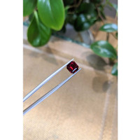 3.01 Ct. Rhodolite Garnet from Tanzania Life Style