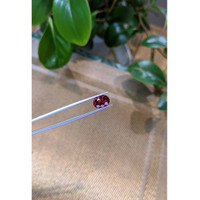 3.33 Ct. Rhodolite Garnet from Tanzania Life Style
