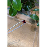 4.43 Ct. Rhodolite Garnet from Tanzania Life Style