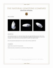 7.61 Ct. Cabochon Agate from Brazil Appraisal