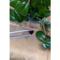 2.61 Ct. Rhodolite Garnet from Tanzania Life Style