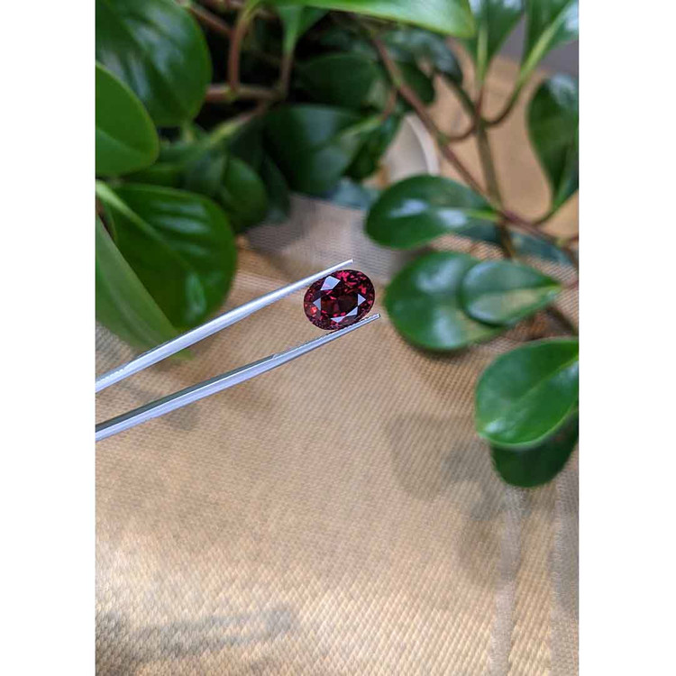 8.50 Ct. Rhodolite Garnet from Tanzania