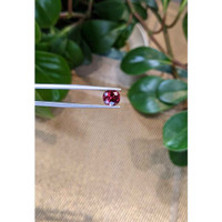 2.90 Ct. Rhodolite Garnet from Tanzania Life Style