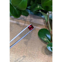 3.75 Ct. Rhodolite Garnet from Tanzania Life Style