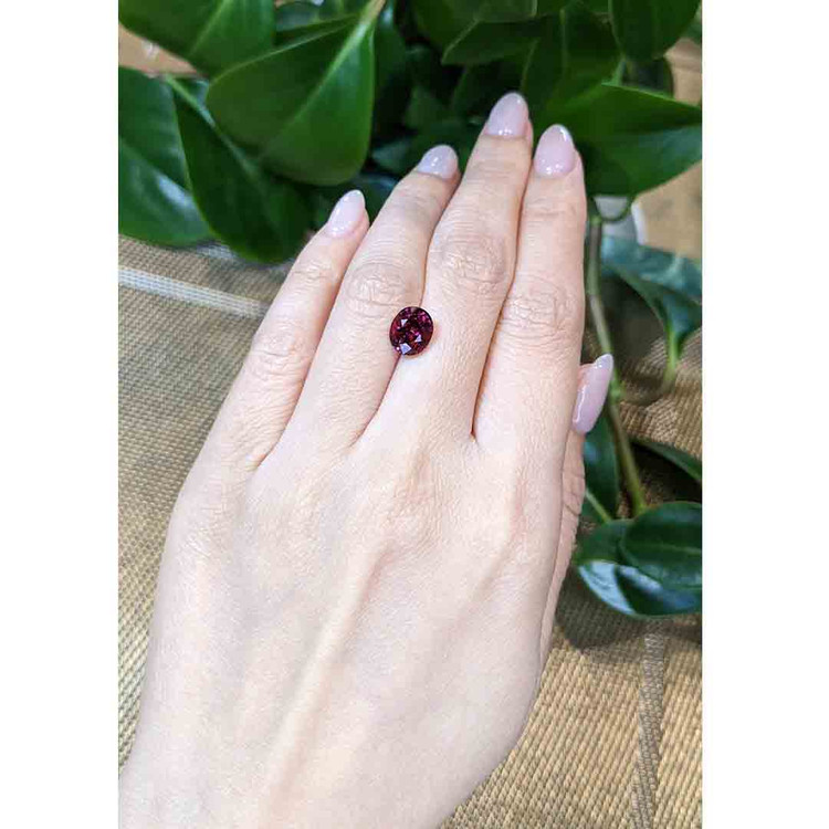 3.12 Ct. Rhodolite Garnet from Tanzania