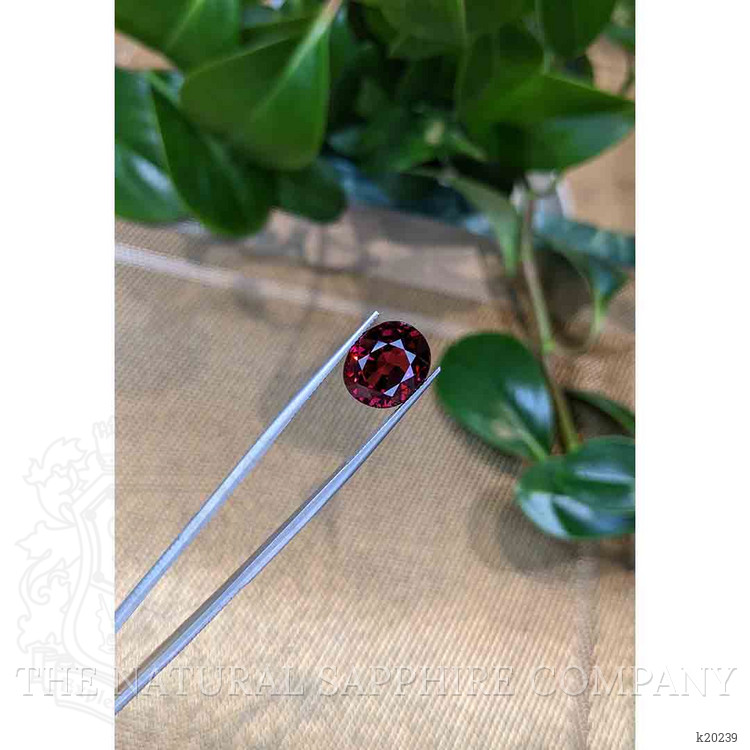 11.77 Ct. Rhodolite Garnet from Tanzania