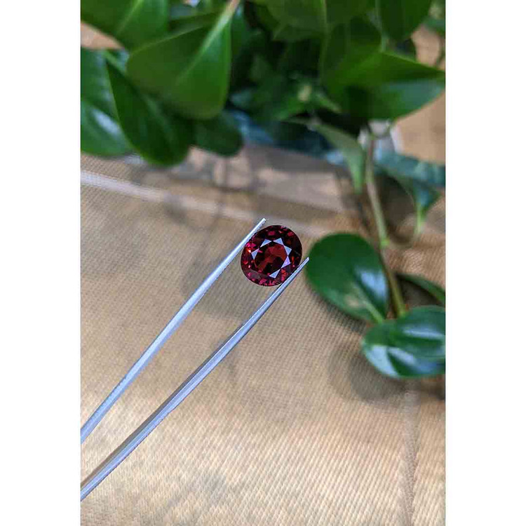 11.77 Ct. Rhodolite Garnet from Tanzania