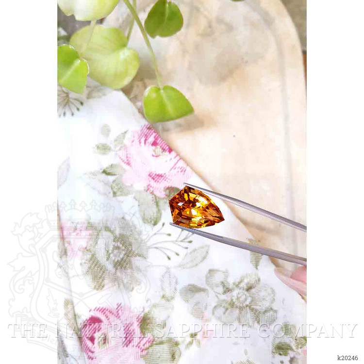 16.90 Ct. Citrine from Brazil