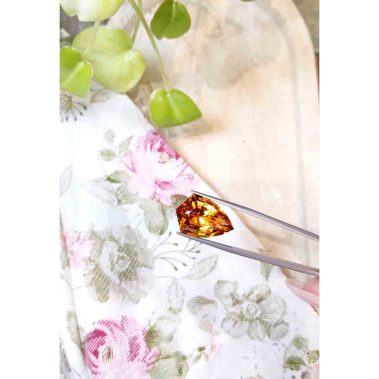 16.90 Ct. Citrine from Brazil