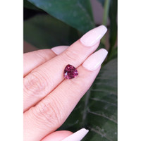 2.39 Ct. Tourmaline from Mozambique Life Style