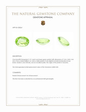 1.01 Ct. Green Peridot from Tanzania Appraisal