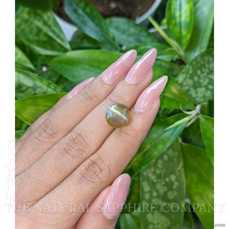 7.95 Ct. Cabochon Chrysoberyl from Tanzania