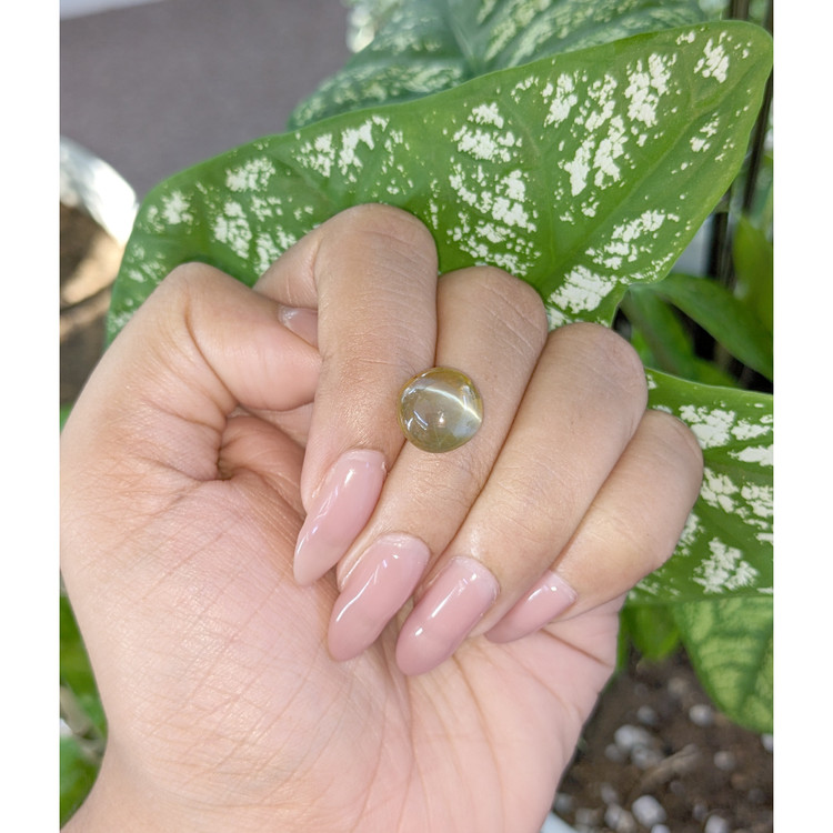 7.95 Ct. Cabochon Chrysoberyl from Tanzania