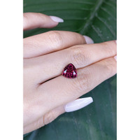 3.25 Ct. Tourmaline from Mozambique Life Style