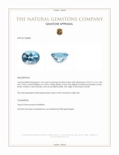 1.63 Ct. Sky Blue Topaz from Brazil Appraisal