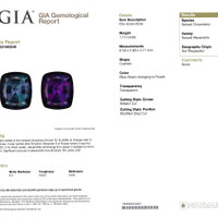 Jewelry Scan Report