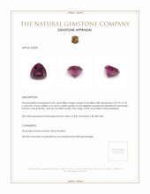 3.35 Ct. Tourmaline from Mozambique Appraisal