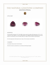 3.35 Ct. Purple Tourmaline from Mozambique Appraisal