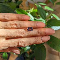 2.71 Ct. Alexandrite from Brazil Life Style