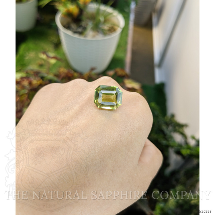 11.78 Ct. Prasiolite from Brazil